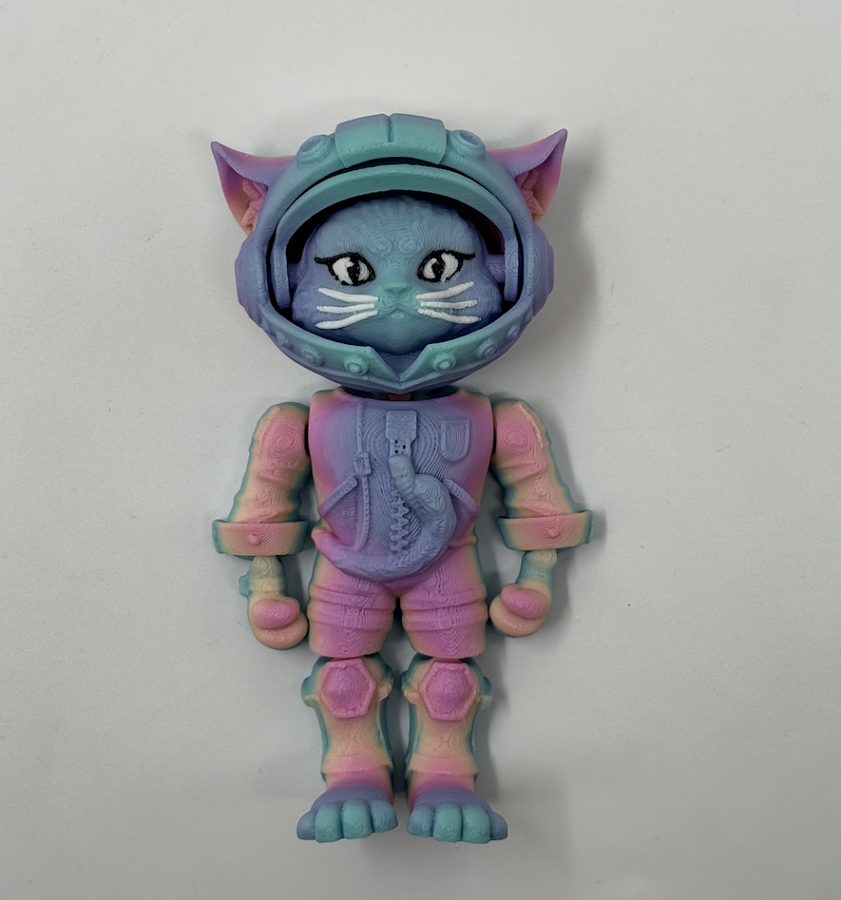 Кошка астронавт