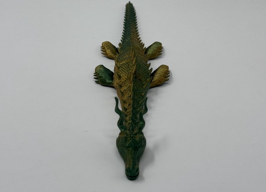 Sea dragon