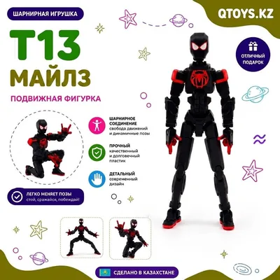 Майлз т13