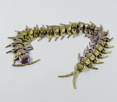 Сколопендра
